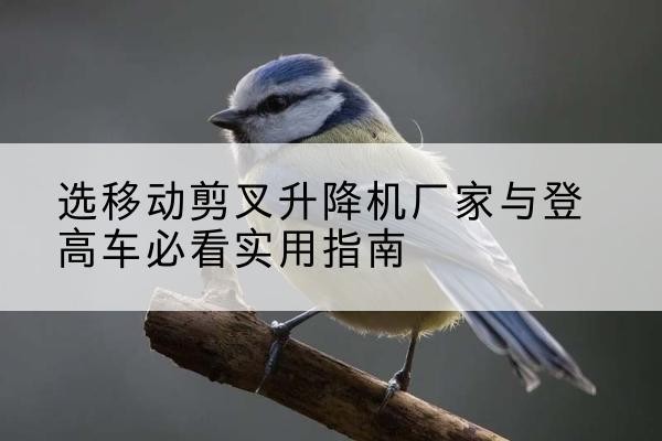 鹤山电动升降机厂家-选移动剪叉升降机厂家与登高车必看实用指南