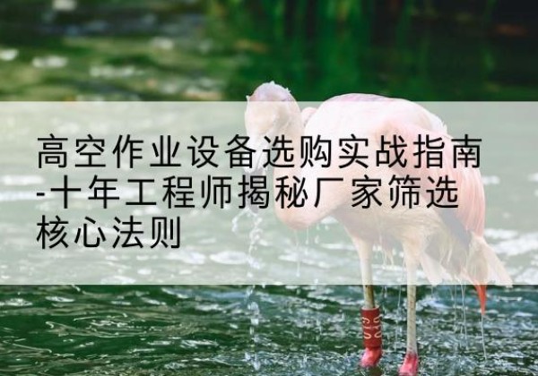鹤山剪叉式升降机厂家-高空作业设备选购实战指南-十年工程师揭秘厂家筛选核心法则